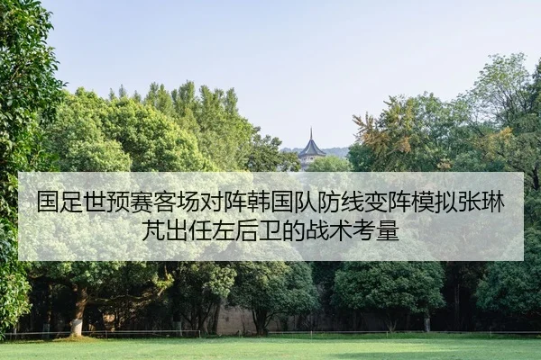 guo-zu-shi-yu-sai-ke-chang-dui-zhen-han-guo-dui-fang-xian-bian-zhen-mo-ni-zhang-lin-peng-chu-ren-zuo-hou-wei-de-zhan-2-364.jpg